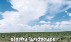 etosha