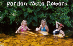 gardenroute