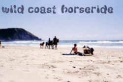 horses